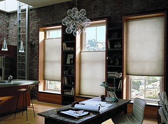 Duette Honeycomb Shades in office