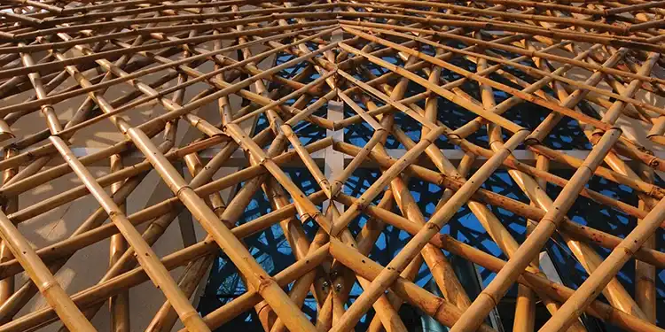 Bamboo Facades