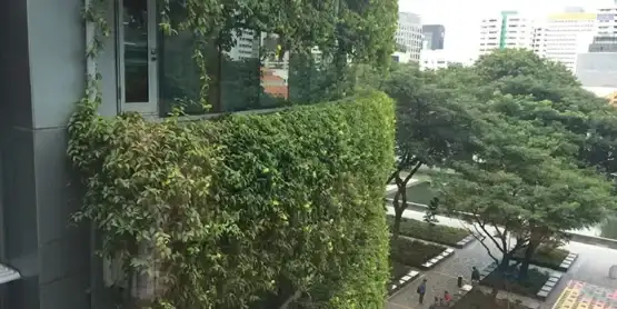 Green Façades – Myth or Reality?