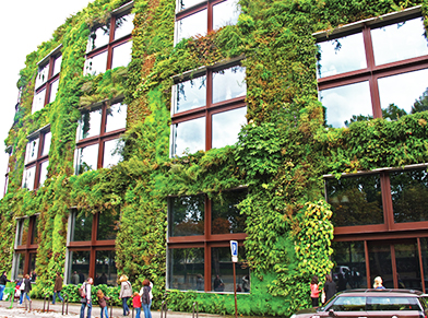 Green Building Design