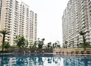 Fenestration Design