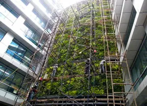 Vertical Garden - Green Facade
