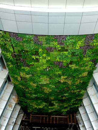 Vertical Garden- Green Facade