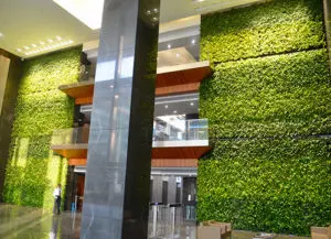 Vertical Garden