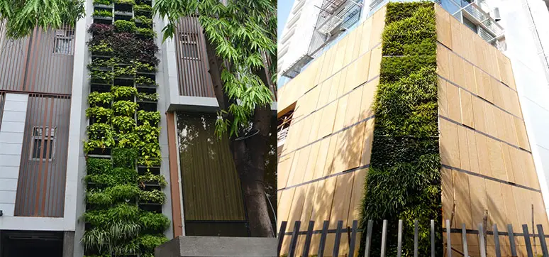 Vertical Garden - Green Facade