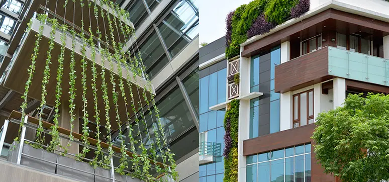 Vertical Garden - Green Facade