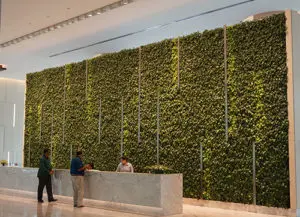 Vertical Garden - Green Facade