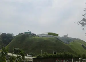 Vertical Garden - Green Facade