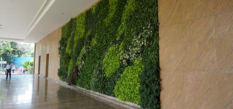 Vertical Garden - Living Wall at Reliance Centre