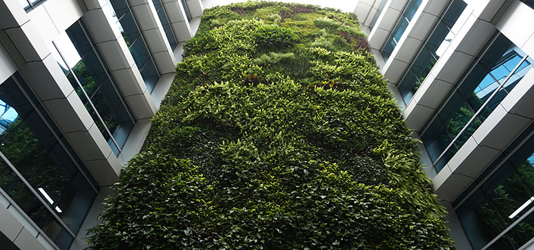 Vertical Garden - The HDFC Green Façade 