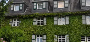 Green Wall Designs