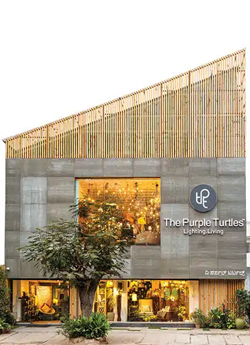 The Purple Turtle – Store Front
