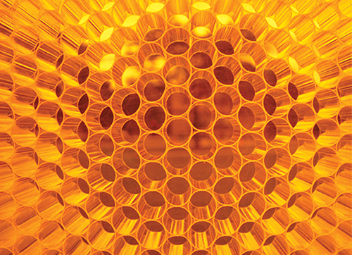 Architectural Designs inspired by Honeycomb and Living Organisms