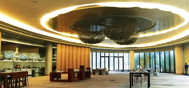 Interior Design at Hyatt Regency Ball Room, Delhi