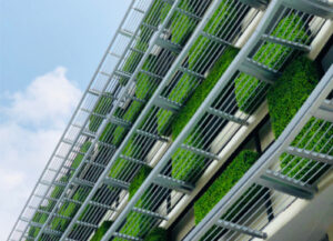 Green façades or vegetative walls are designed by aiding the growth of green climbing plants upward and across the front portion of the building