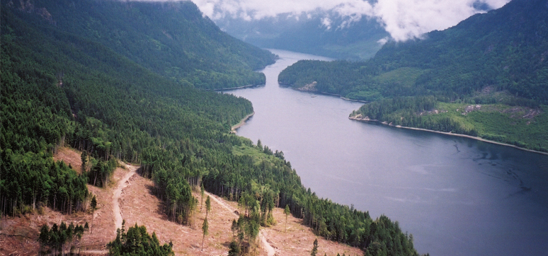 British Columbia. the global leader in sustainable forest management