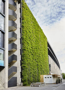 A project by ACad Studio - Green façades