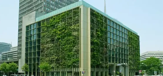 Green Facade promoting Sustainable Architecture