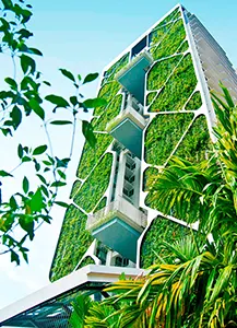 Vertical Greenery System - Tree House, Singapore