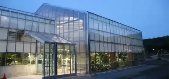 What is the Best Cladding Material for a Greenhouse