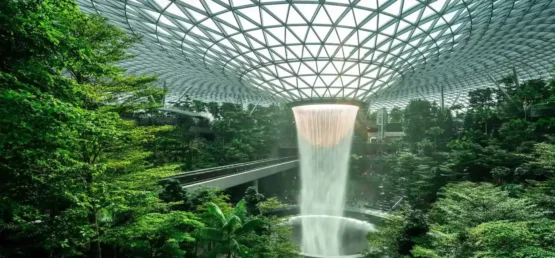 Biophilic-design