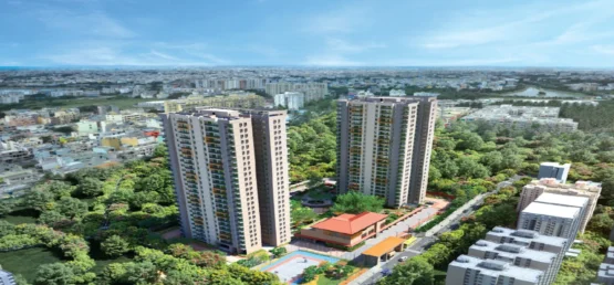 Figure 1: View of the project