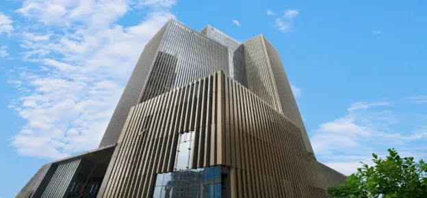 Max Tower - Long Shot