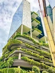 A green façade project (Studio Meraki)