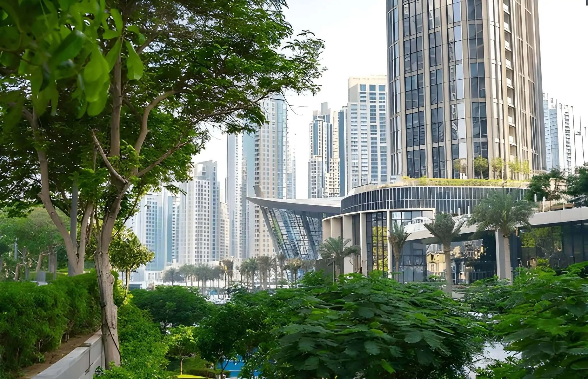 Green homes prioritise natural light, fresh air, and indoor air quality