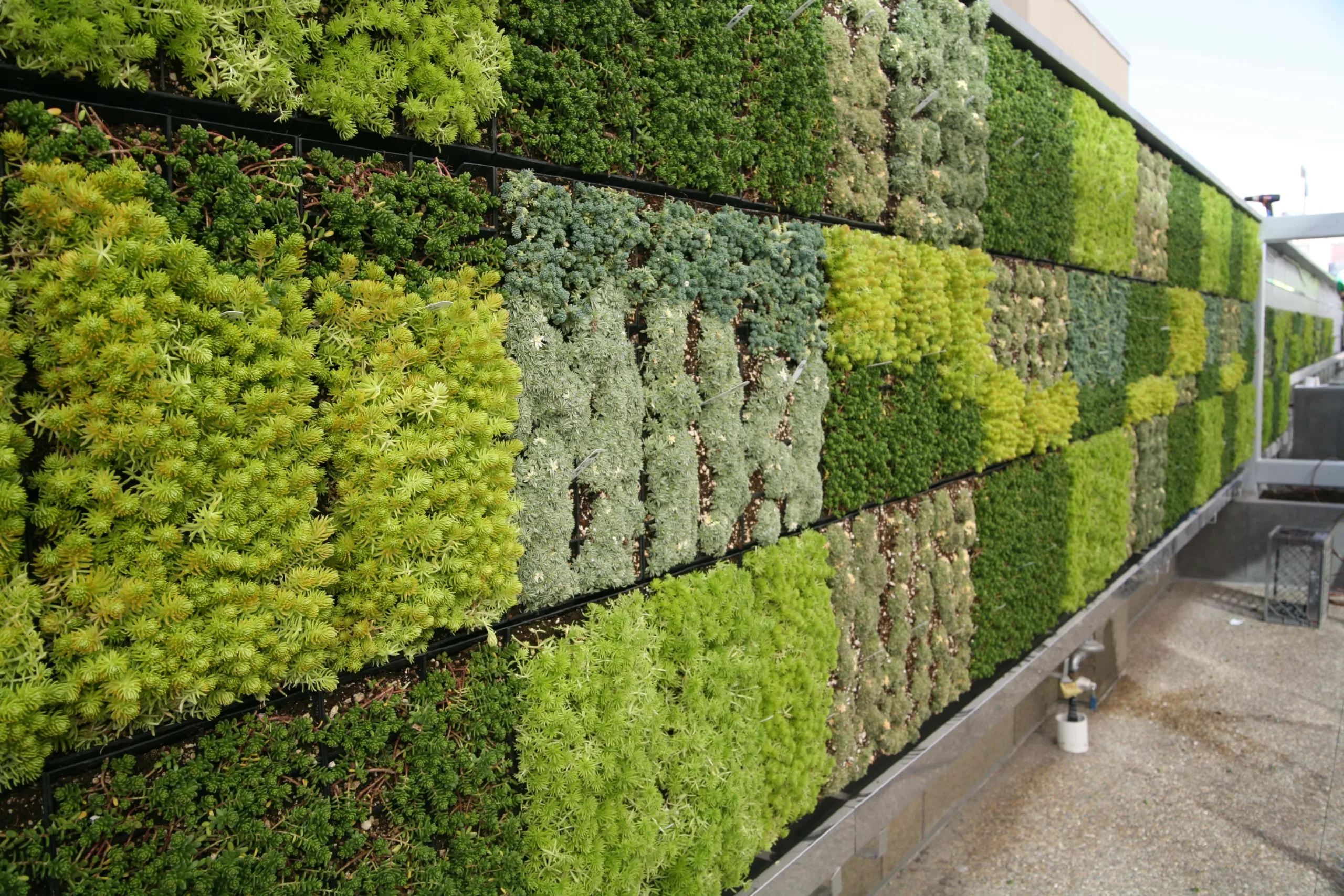 Vertical Garden