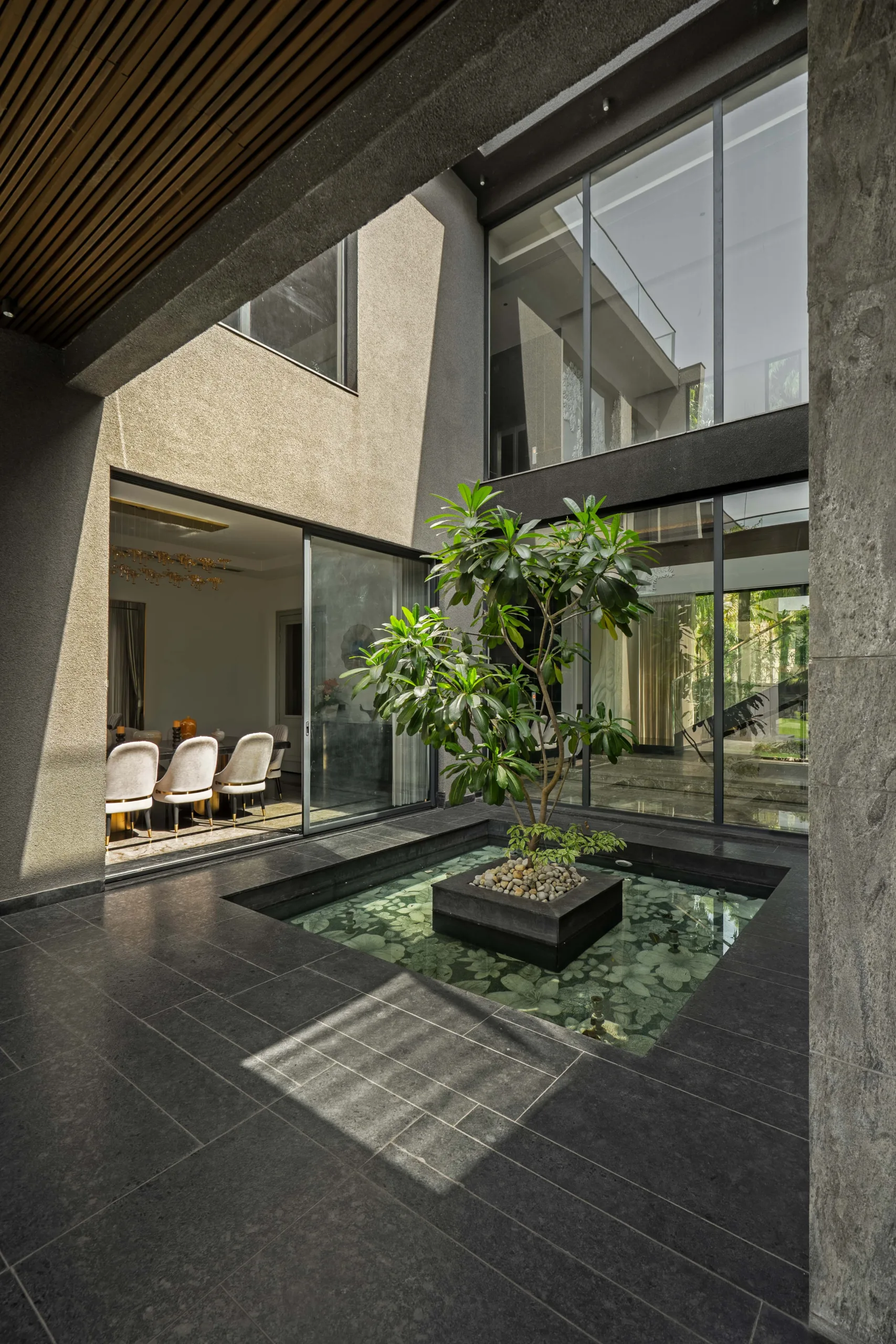 The courtyard housing the Plumeria tree - Clad in a textured stone known as Raymond, it creates a sculptural backdrop that elevates the natural elegance of the tree (Image Credit Tarang Goel)