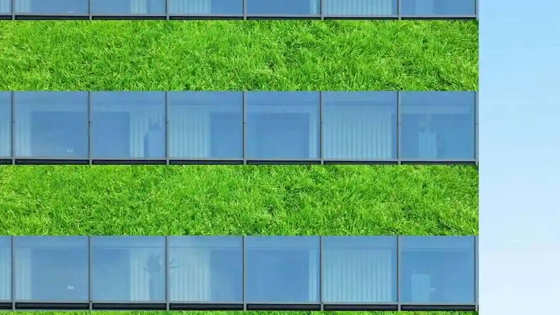 By integrating plants and greenery into building exteriors, they bring significant environmental, economic, and social benefits