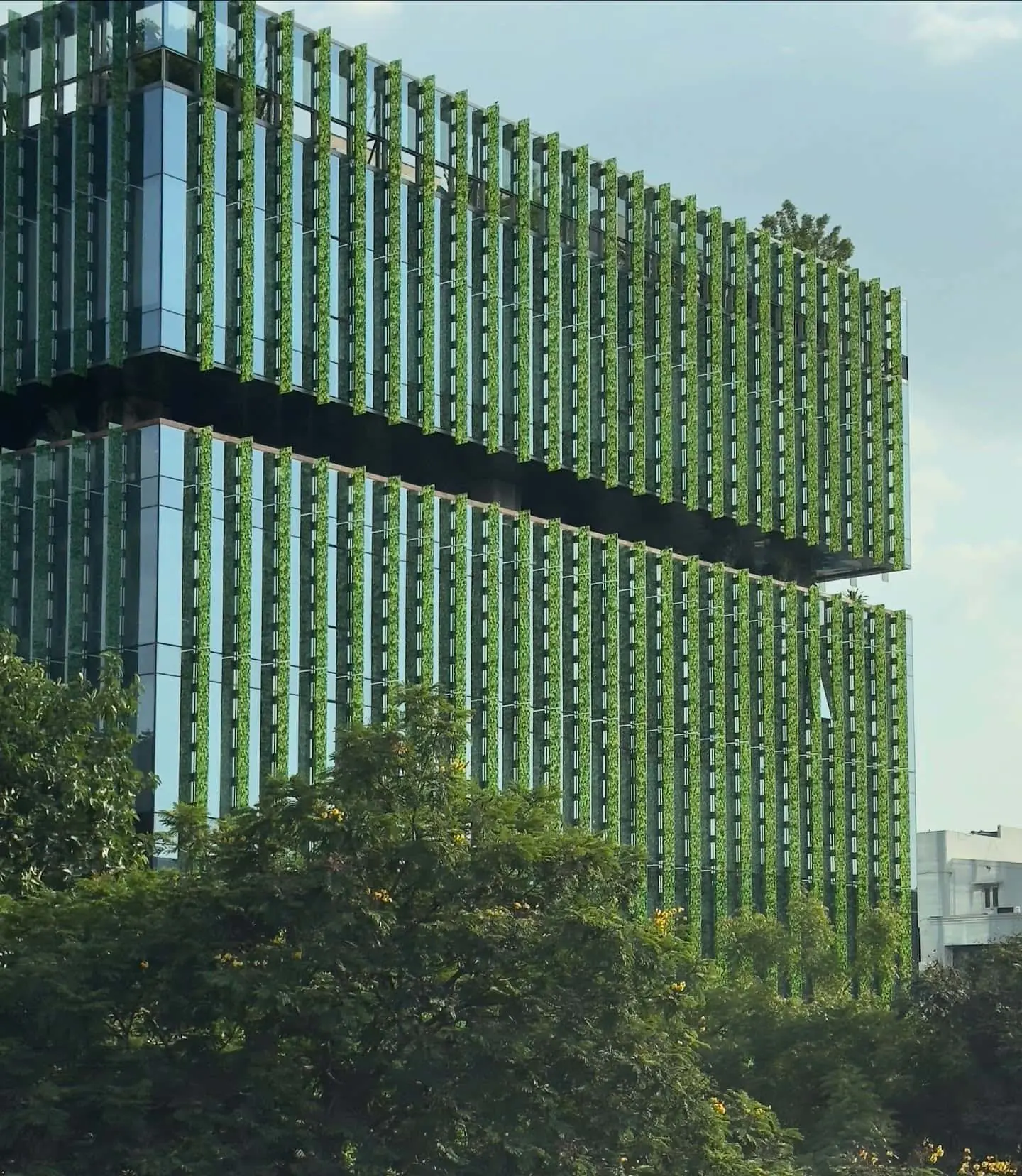Glass Facade