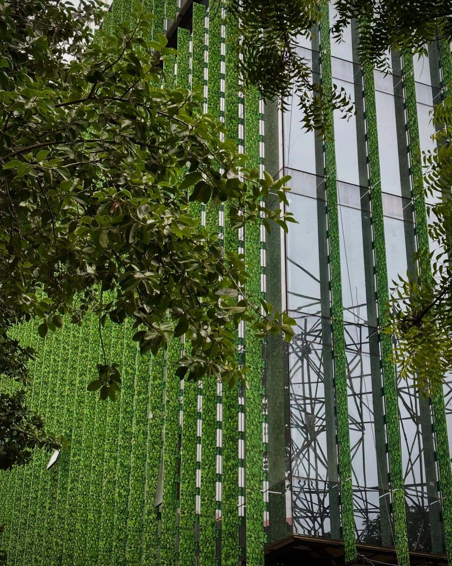 Smart fenestration reduces energy consumption by managing heat and daylight