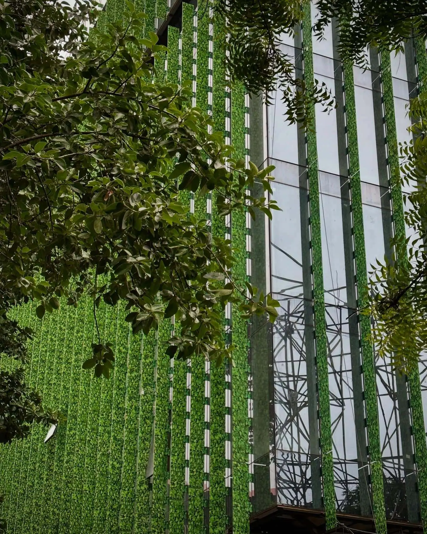 Smart fenestration reduces energy consumption by managing heat and daylight