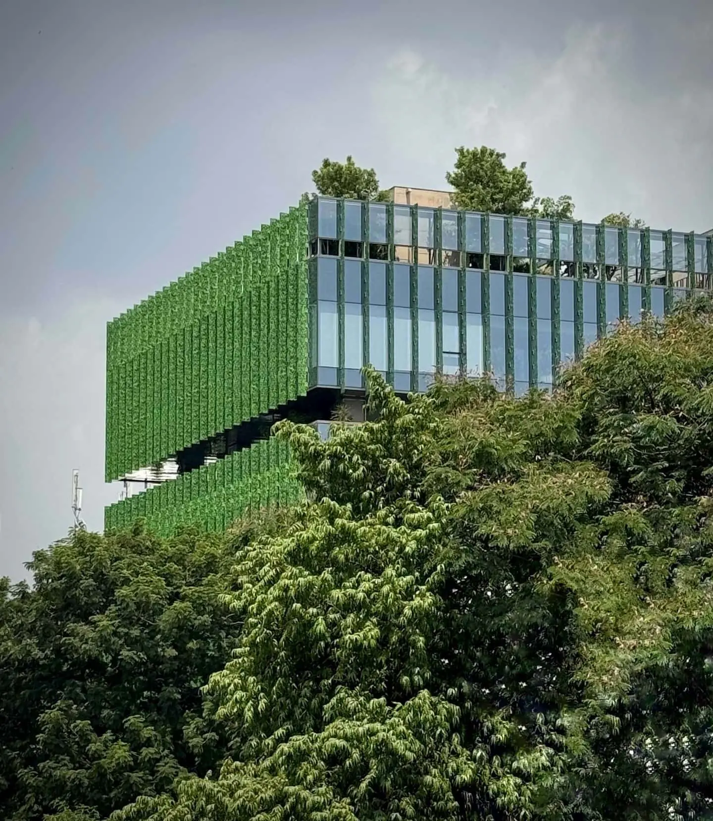 Glass Facades